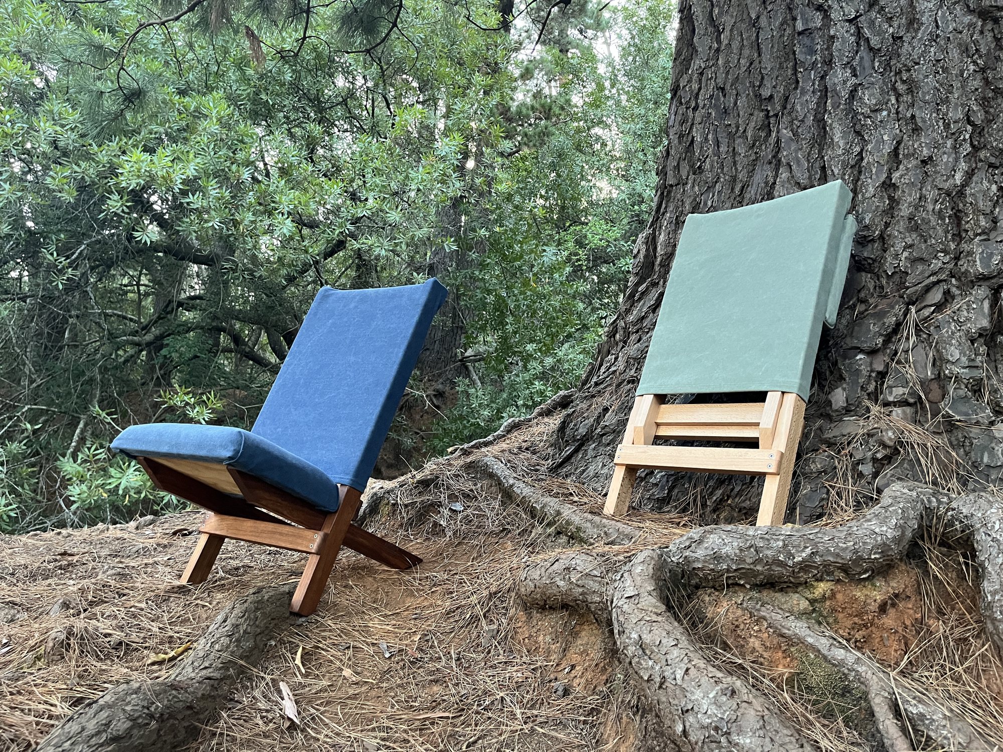 Two folding chairs under a pine tree — kiaat with navy canvas and beech with olive canvas